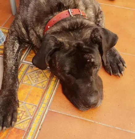 Πανσιόν 73 Camino La Sabina